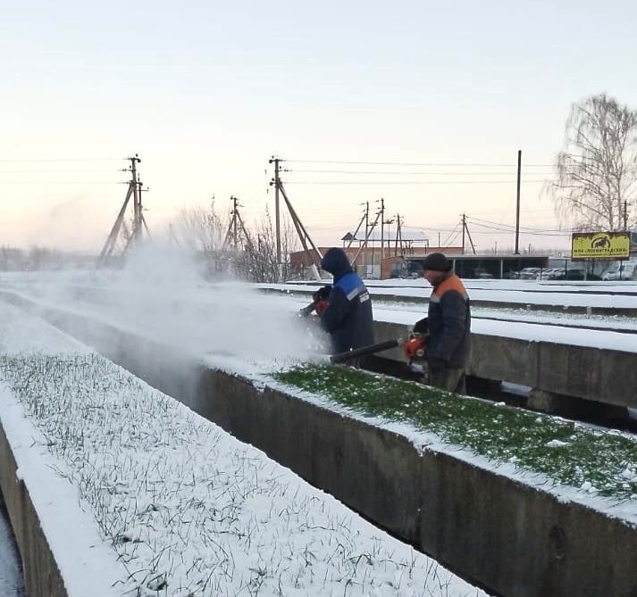 В «Сксхос - филиал НЦЗ ИМ. П.П. ЛУКЬЯНЕНКО» проходят исследования ЛИНИЙ ОЗИМЫХ ПШЕНИЦЫ, ячменя И ТРИТИКАЛЕ НА зимостойкость