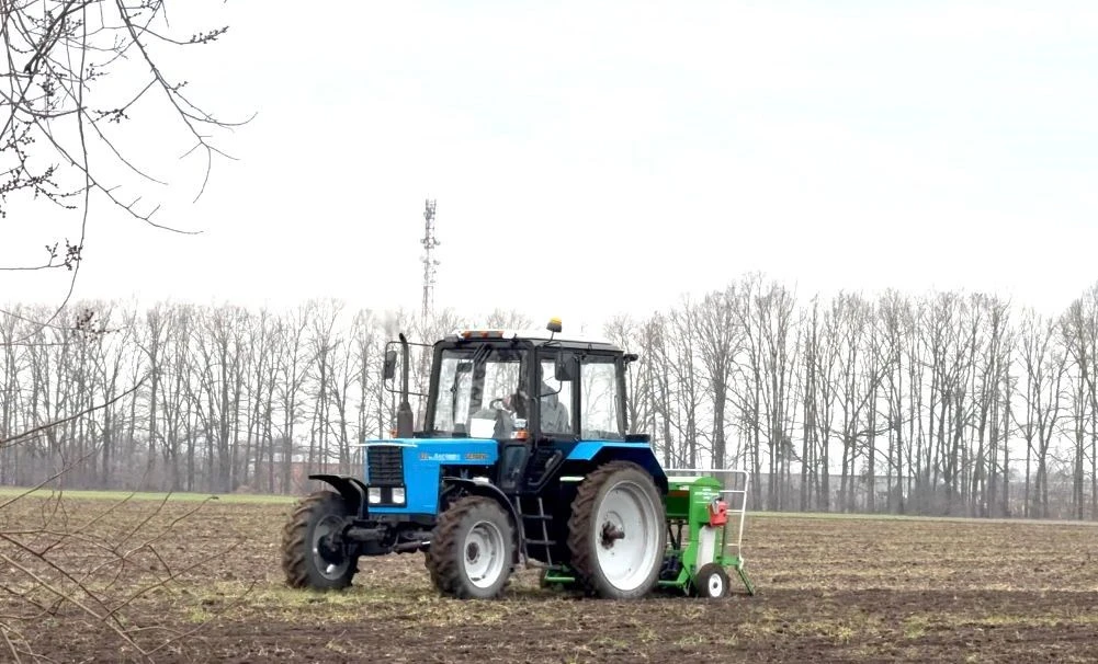 Яровой ячмень посеян и очень востребован