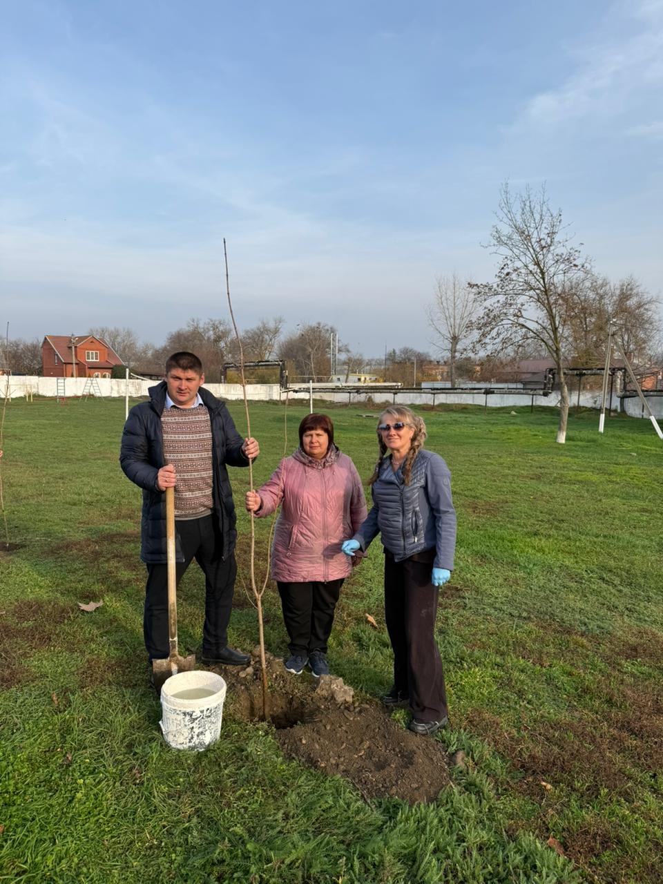 Новая роща кленов на опытной станции