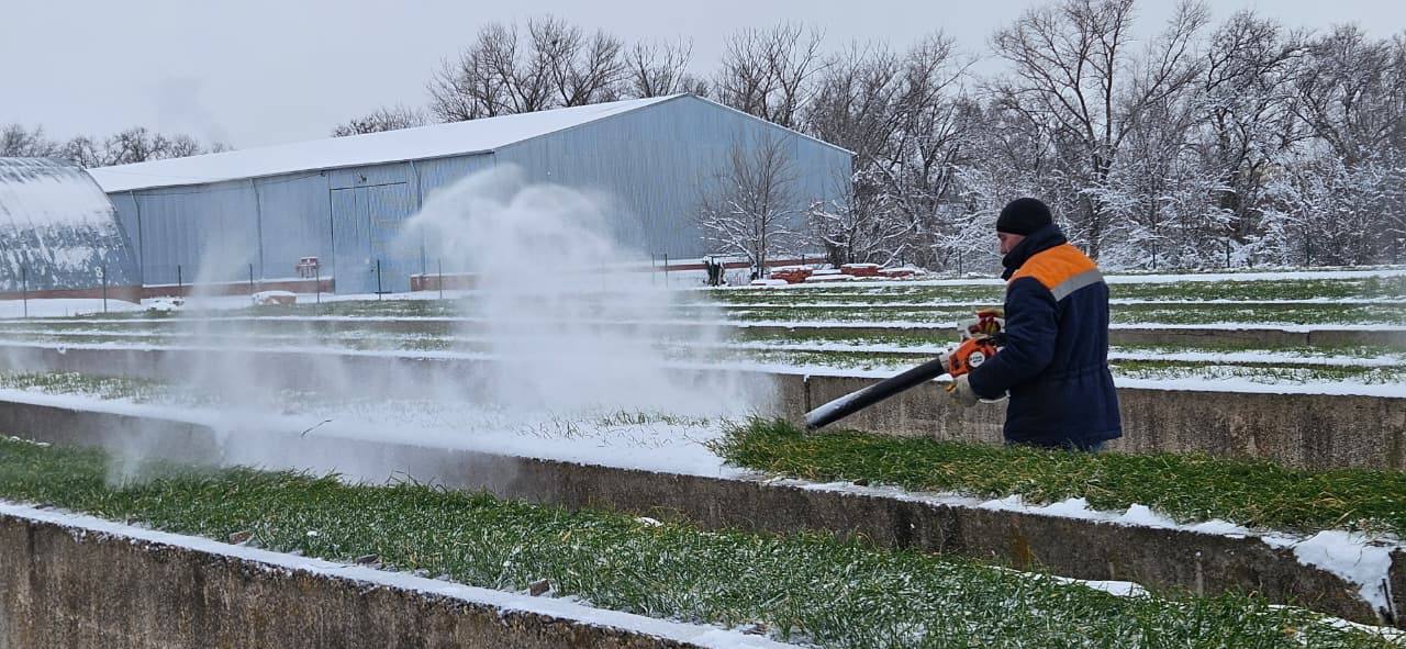 Впереди крещенские морозы ❄️