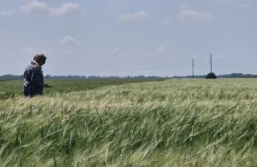 Kubansev.ru